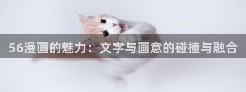 歪歪漫画在线浏览